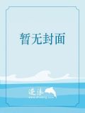 宠物小精灵之不死鸟 小说