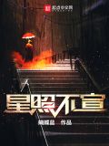 星照不宣 小说下载