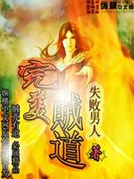 完美盗贼免费下载