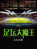 足坛大魔王木子柒7txt