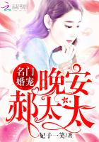 名门婚宠:晚安,郝太太小说