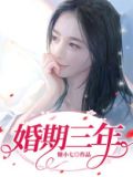 婚期三年小说