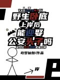 野生卧底上岸后能迎娶公安头子吗乐文