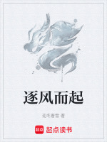 《逐风》