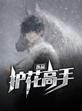医品护花高手李长安