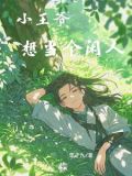 胎穿王爷嫡幼子的小说