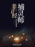 非正经捕灵师讲的什么