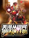 美漫从提问钢铁侠开始 小说