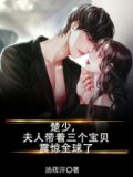 楚少,夫人又闹离婚了