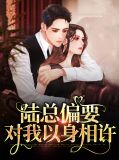 陆总偏要以婚相恃全文免费阅读