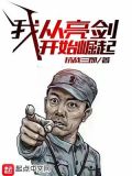 我从亮剑开始崛起小说