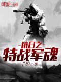抗日之特战军魂TXT